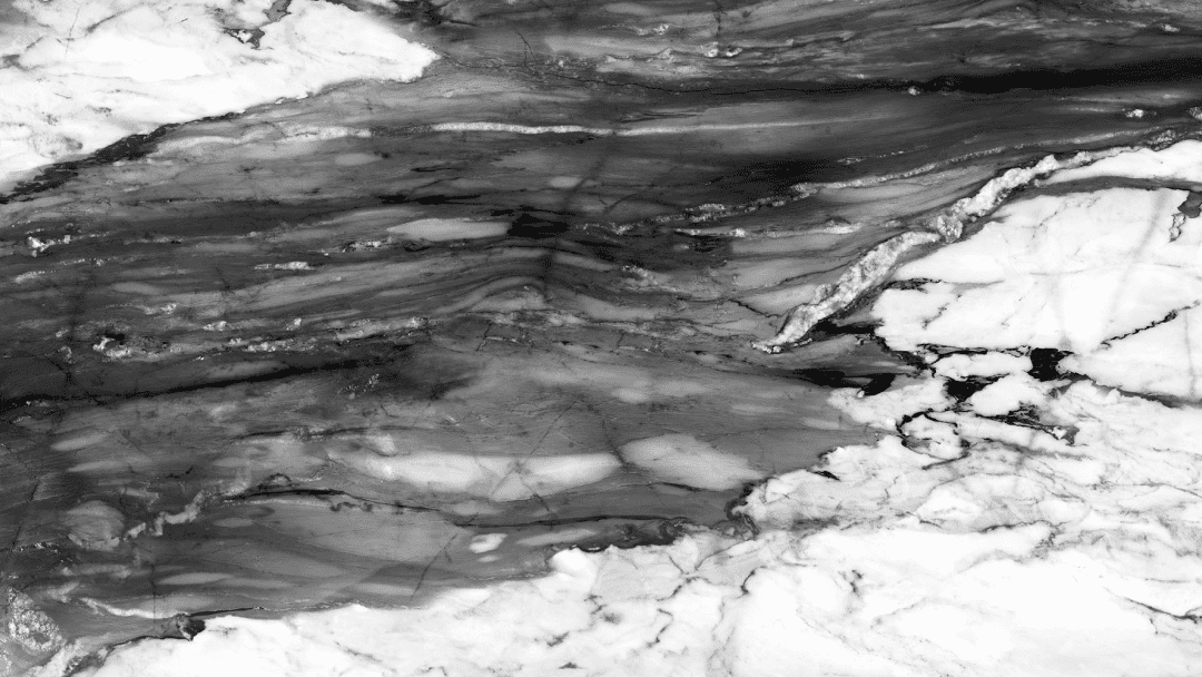 Calcatta Nero Quadra