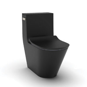 KOHLER BRAZN 1PC TOILET W SLIM QC SEAT HONED BLACK K-EX22378T-SL-HB1