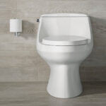 KOHLER SAN RAPHAEL CLASS 5 SKIRTED TRAPWAY 1PC K-3722ID-0 - Image 2