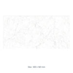 QUADRA STATUARIETTO BIANCO POLISH 320x160 - Image 3