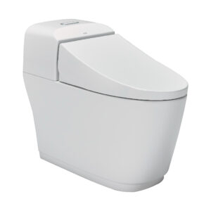 INAX S400 TOILET ONE PIECE CC103201-6DF10-AN
