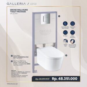 GROHE IGINA WALLHUNG TOILET PACKAGE