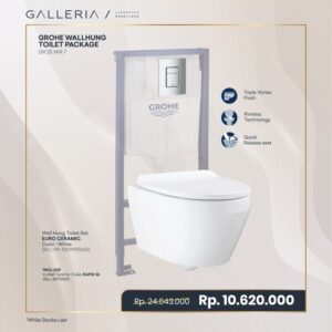 GROHE EURO CERAMIC WALL-HUNG TOILET PACKAGE