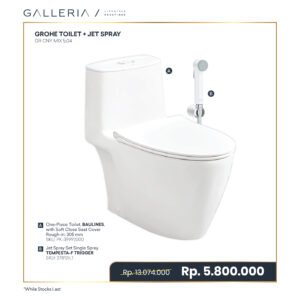 GROHE BAULINES TOILET + JET SPRAY 2